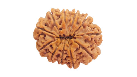 Home 20 11 mukhi C