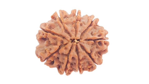 Home 35 9 mukhi C 1