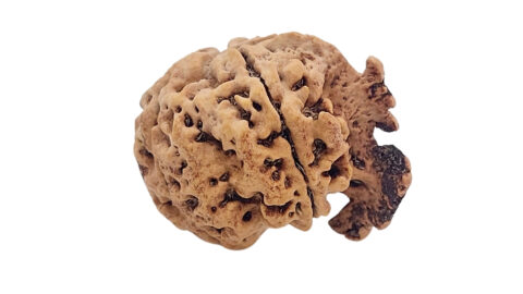 GANESH COLLECTOR SIDE