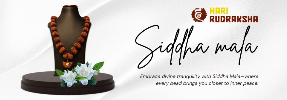 Home 24 Siddha mala | Embrace divine tranquility with Siddha Mala—where every bead brings you closer to inner peace.