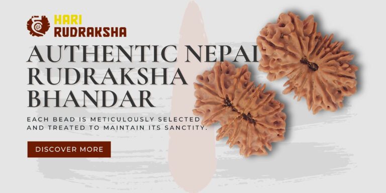 Home 4 rudraksha