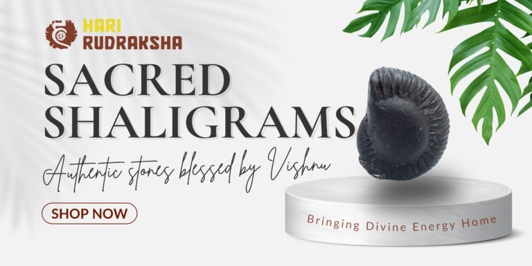 Home 3 Sacred Shaligrams | Authentic stones blessed by Vishnu