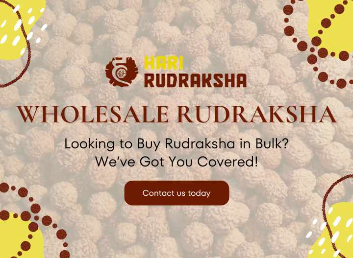 Home 25 Wholesale Rudraksha | Looking to Buy Rudraksha in Bulk? We’ve Got You Covered!