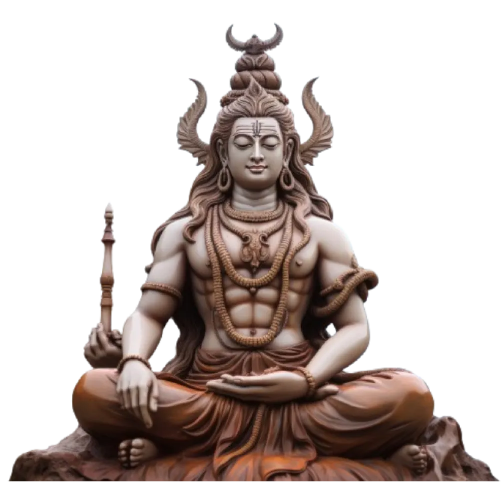 Home 1 shiv